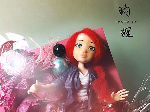 大头菜大头菜，既是大头又是菜鸟，哈哈哈