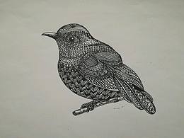 黑白插画