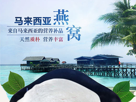 进口燕窝详情 