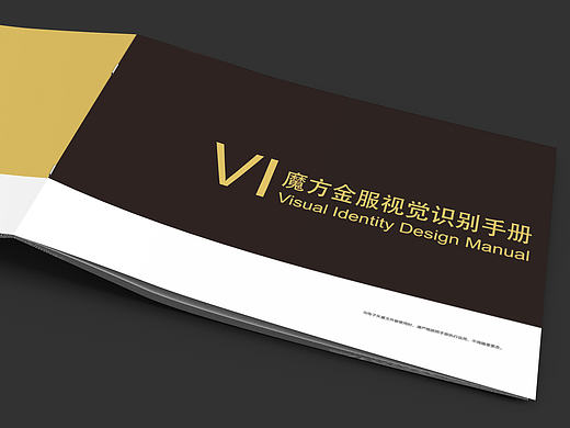 金融公司 VI手册