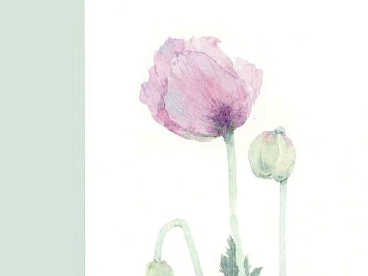 熊猫胖哒水彩插画森系手绘水彩教程花卉壁纸