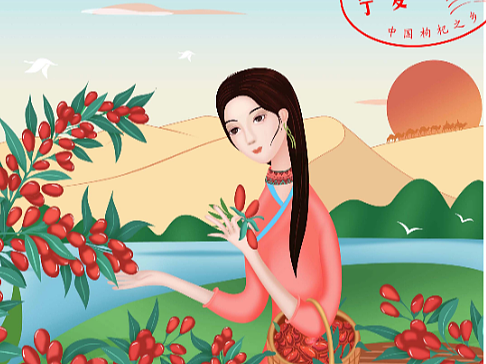 中宁枸杞 ·道地珍品 | 九图品牌设计