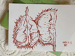 記錄一下[z通宵]