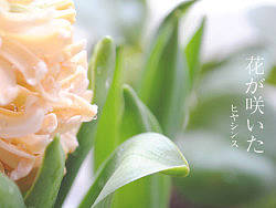 一抹小清新（個(gè)人主頁(yè)-ZMTk4NDk4MA==） - 風(fēng)光攝影 - 站酷設(shè)計(jì)師Nataliia原創(chuàng)素材 - 站酷ZCOOL