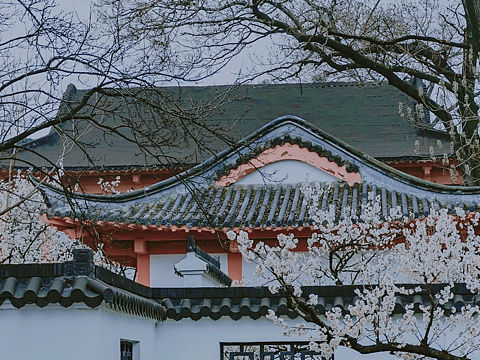 玄武湖啊（個(gè)人主頁-ZNDk5MDI3MTI=） - 風(fēng)光攝影 - 站酷設(shè)計(jì)師Aaron0320原創(chuàng)素材 - 站酷ZCOOL