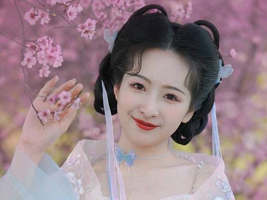 蝶仙