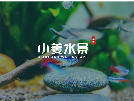 小姜水景——LOGO设计