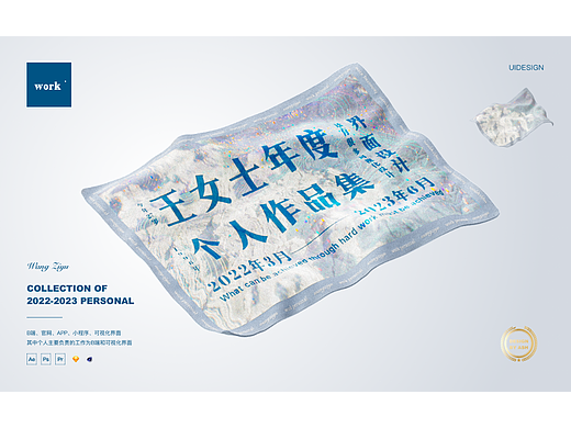 王女士「2022-2023」个人简历