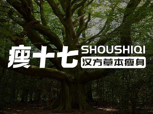 纽普作品丨瘦十七汉方草本