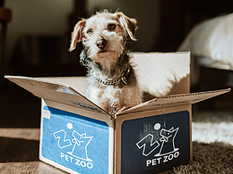 愛寵 寵物頻道VI #寵你所愛