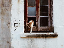 【最后的落幕】