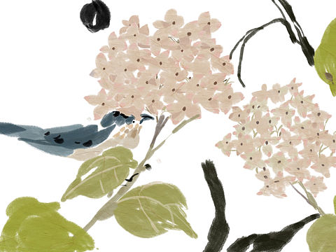 绣球花