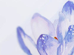 水彩小尝试（个人主页-ZMjM2NzQyOA==） - 创作习作 - 站酷设计师ayaaya原创素材 - 站酷ZCOOL