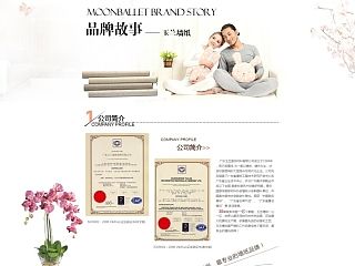 品牌故事（个人主页-ZNDE4Nzg4NA==） - 电商 - 站酷设计师fivefish999原创素材 - 站酷ZCOOL