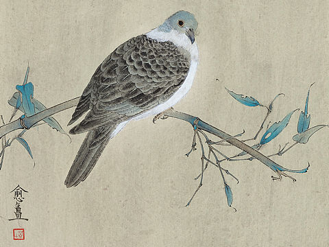 張?zhí)飩スすP畫（個人主頁-ZMzUwODE4Njg=） - 繪畫 - 站酷設(shè)計師張?zhí)飩ピ瓌?chuàng)素材 - 站酷ZCOOL