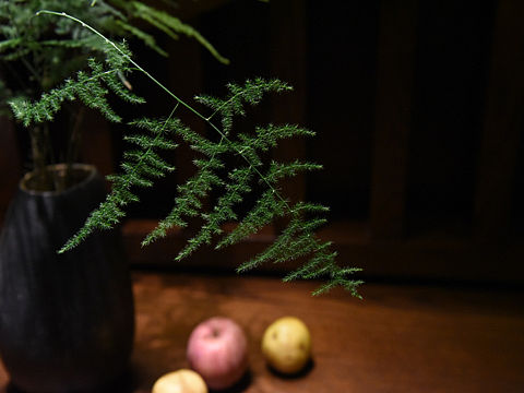 文竹和镂空瓷篮