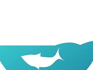 跳动的小咸鱼（个人主页-ZMTc1MDkyNDg=） - 其他平面 - 站酷设计师思凡的一天原创素材 - 站酷ZCOOL