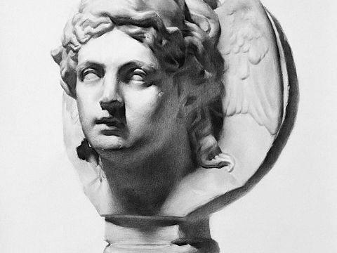 素描石膏像#面冠夫人