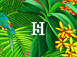 廚具禮品包裝設(shè)計