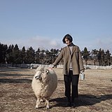 川流一白的头像