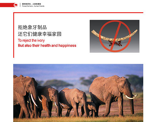 （沒有買賣，就沒有殺害）畫冊(cè)內(nèi)頁(yè)（個(gè)人主頁(yè)-ZMTQ5NDA5NDQ=） - 品牌 - 站酷設(shè)計(jì)師木子COCO原創(chuàng)素材 - 站酷ZCOOL