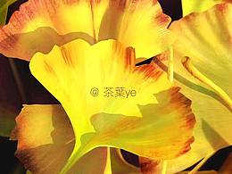 是時(shí)候更波（老）圖了