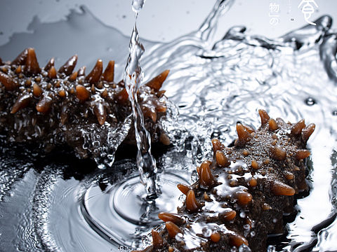 产品图片拍摄（个人主页-ZNTc0ODkxNDA=） - 产品摄影 - 站酷设计师美食摄影师董亚文原创素材 - 站酷ZCOOL