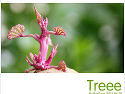 Treee（个人主页-ZNzQzNDg0） - 风光摄影 - 站酷设计师retsam原创素材 - 站酷ZCOOL