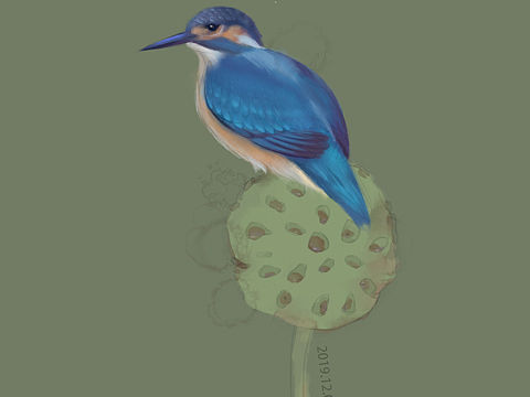 翠鳥(niǎo)練習(xí)（個(gè)人主頁(yè)-ZNDA4MTAzODg=） - 創(chuàng)作習(xí)作 - 站酷設(shè)計(jì)師彥三日原創(chuàng)素材 - 站酷ZCOOL