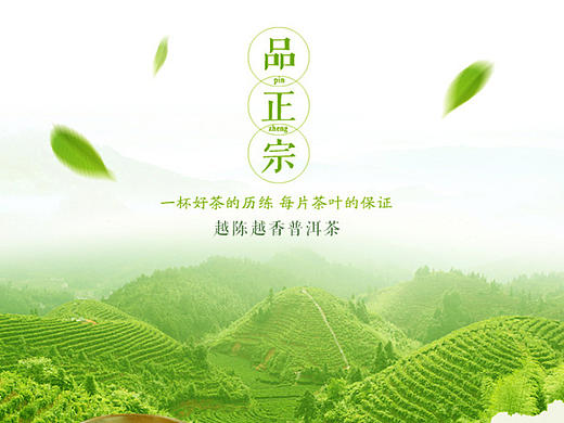 越陈越香茶叶详情页