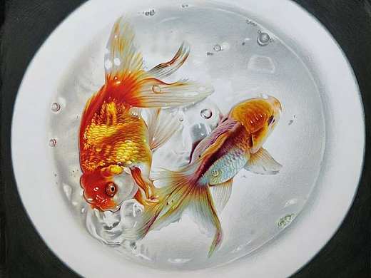 17年完成的彩铅画