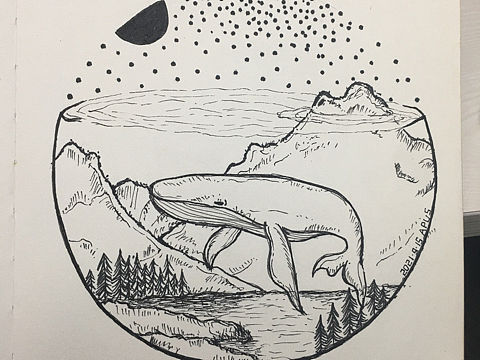 针管笔系列临摹-鲸-20210915