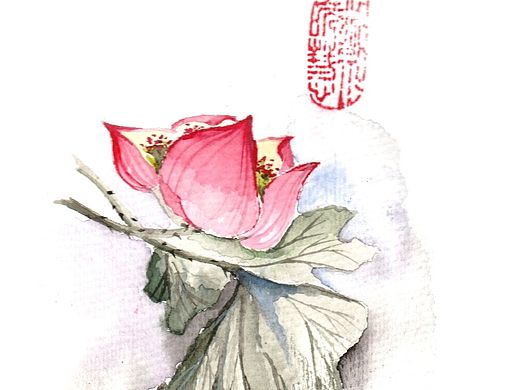 尝试了一组水彩植物