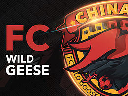 FC WILD GEESE