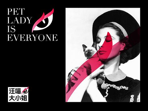 汪喵大小姐品牌全案设计，我的眼里只有你。