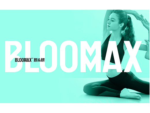 壹鼎视觉工厂:BLOOMMAX项目全案