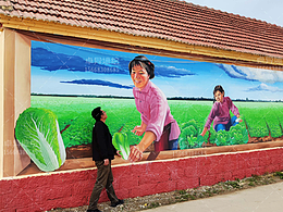 美丽乡村3D墙绘