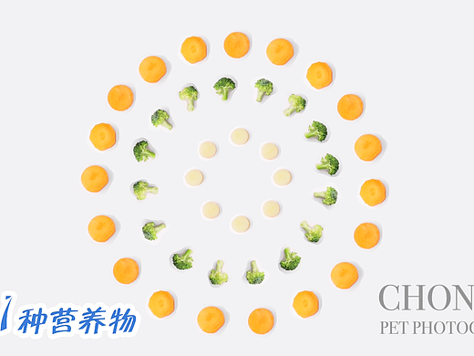 宠物营养膏 | 宠力魔方 | 电商摄影 | 宠叔叔传媒