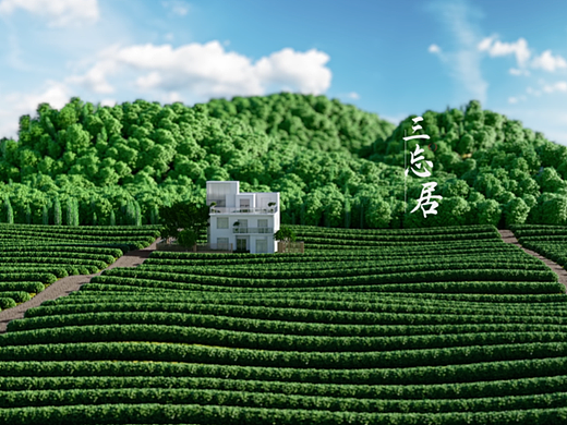 方太/柏厨家居/三忘居/橱柜衣柜