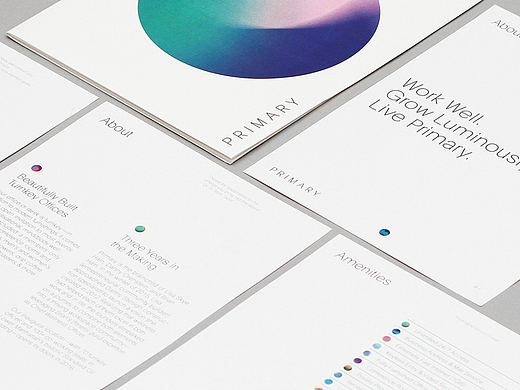 Primary Brand Design