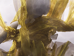 2023年的个人作品 |《reflection》| C4D+MD+DAZ