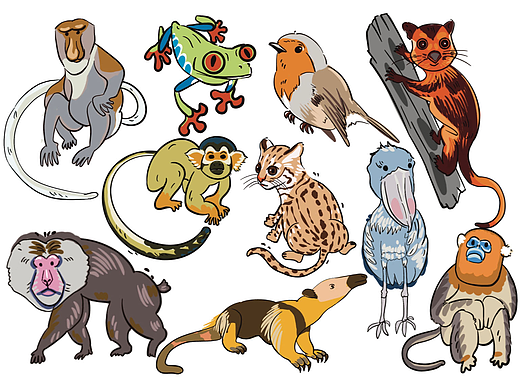 动物园系列---生物多样性（禁止商用，谢谢）