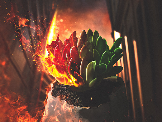 剧本杀海报设计《火祭》