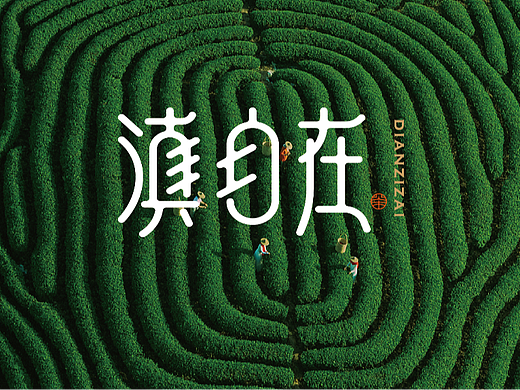 滇自在（云南普洱茶）