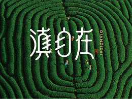 标志VIS