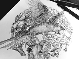 鸚鵡-針管筆畫