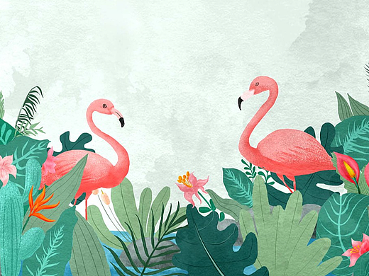 抽纸软包装设计插画