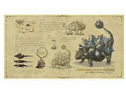 块根珍藏系列——龟甲龙的奇思妙想