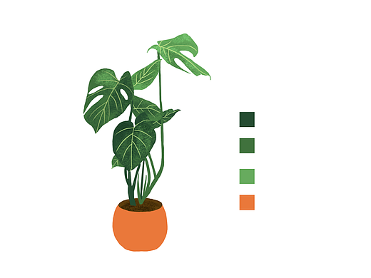 植物画集