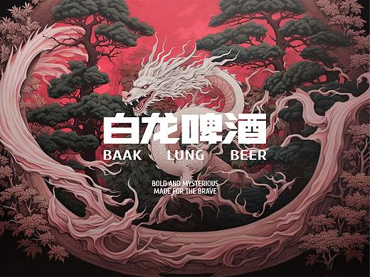 白龙啤酒-品牌设计